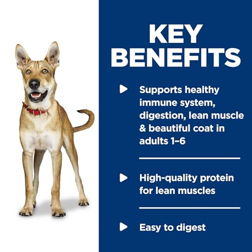 Hills Science Weight Loss Program Grownup 16 Grownup 16 Premium Vitamin Moist Canine Meals Rooster  Greens Stew 128 Oz Can Case of 12  Cucciolini Doodles Hills science weight loss program grownup 1 6 grownup 1 6 premium vitamin moist canine meals rooster  greens stew 12 8 oz can case of 12   cucciolini doodles