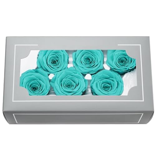 FORTTS Rosa conservata di grado A, 5-6 cm, eterna naturale di alta qualità, 6 pezzi/scatola, rosa eterna per la mamma, San Valentino, regali di compleanno, matrimoni, casa, feste, decorazioni fai da