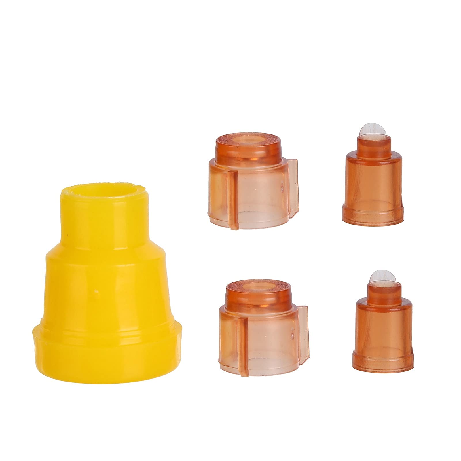 Strumenti Per L'apicoltura, Scatola Per L'apicoltura, Kit Per Il Sistema di Apicoltura Scatola Per Il Sistema di Allevamento Dell'ape Regina Scatola Per L'allevamento Dell'apicoltura Kit Per Innesto