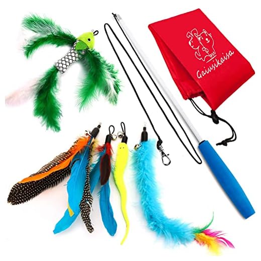 Kattenhengel: Waarom jouw kat er dol op is. 20x de Beste 13 GaiusiKaisa Kattenhengel 5-in-1, kattenspeelgoedset, speelhengel, kat met hanger, veer, bel, interactief kattenspeelgoed, 5 veerbosjes en 1 telescopische kattenhengel