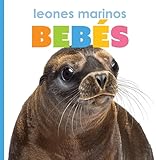 Leones Marinos Bebés