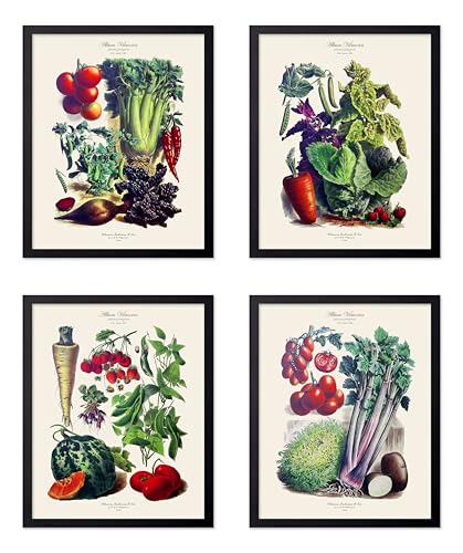 Monem Art 4-Piece Vegetables Print - Botanical Poster - Food