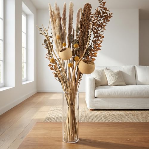 Aura Maison Flores Secas Decoracion, Ramo Flores Secas Naturales 60cm, Hecho en España, Flor Seca Decoracion Hogar, Ramas Decorativas para Jarrones Decorativos Modernos para Home Decoration