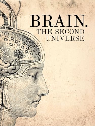 Brain.The Second Universe