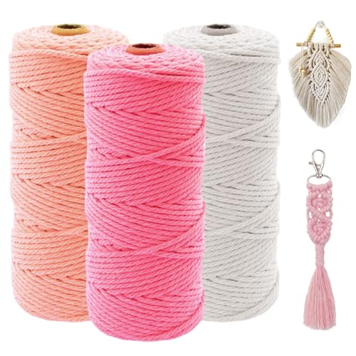Fil Macramé 2mm x 100m, 3 Pièces Corde Macramé, Fil de Coton Naturel, Fil Coton pour Crochet, Multicolores, Set di Filo Macramé in Cotone pour Bricolage,...