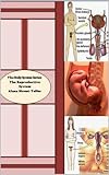  The Body System Series: The Reproductive System (English Edition)