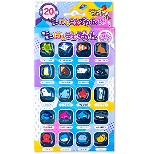 UEANZX S }tY ~j lߍ킹 