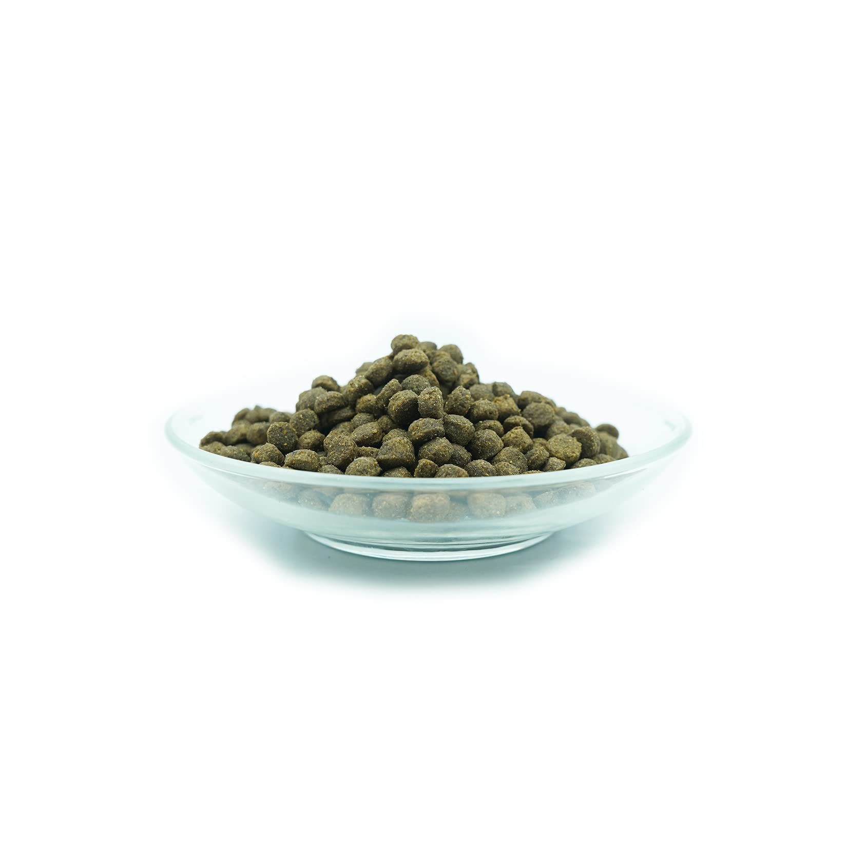 I Love My cat Futterset für Katzen mit empfindlichem Magen, getreidefrei, sensitiv, Trocken- & Nassfutter mit Insektenprotein + Shiimun Gastro 50 g + Jutebeutel