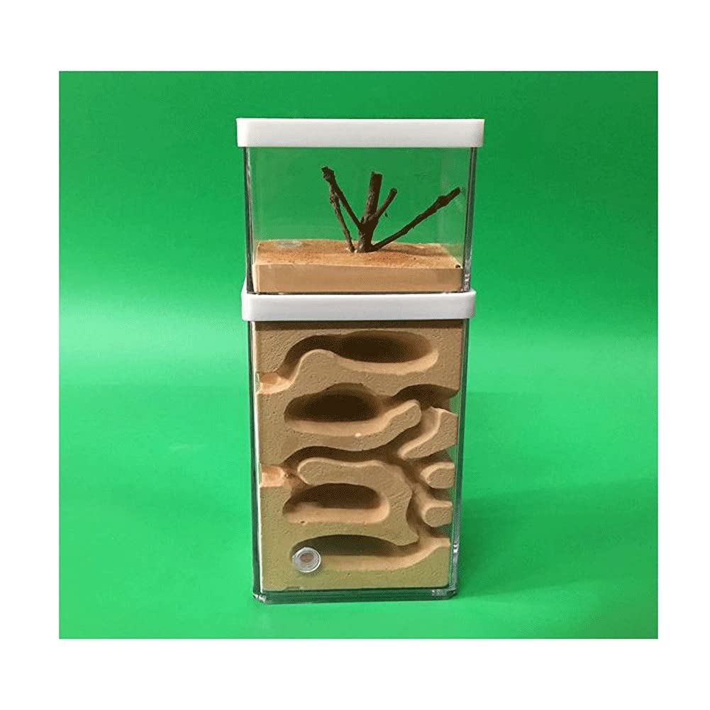 Ant Tower Deluxe Ant Habitat Ant Farm Living pet ants plaster ant nest Villa House Formicarium Moisturizing Study Of Ecosystem Ant Workshop (Color : Transparent)