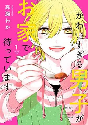 鉄壁ハニームーン【電子限定おまけ付き】 1 (花とゆめコミックス