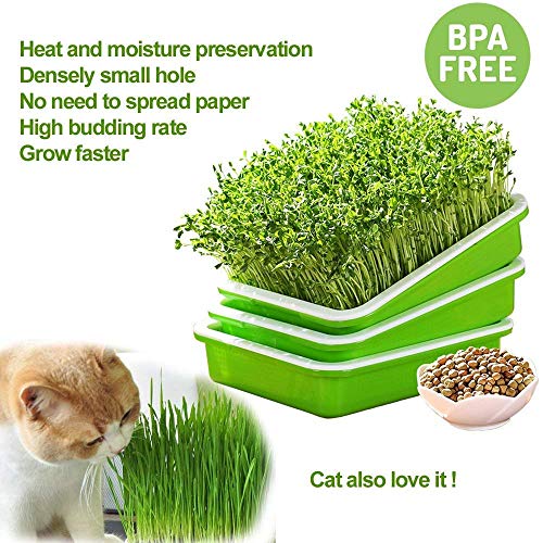 Image of 2 Pack of BPA Free Home Microgreen Soilless Hydroponics Seed Sprouter Grow Tray with Cover + Free Spray Bottle and 20 Sheets Growing Paper