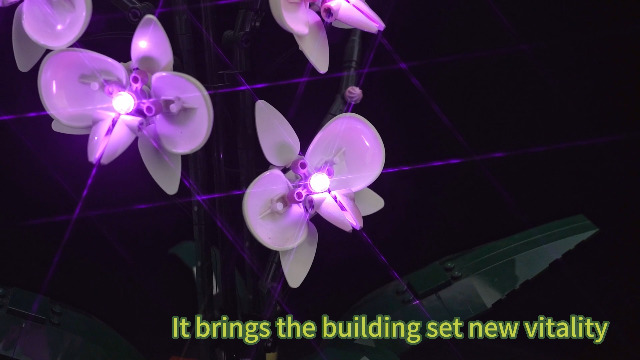 Amazon.com: Hilighting Upgraded Light Kit for Lego Orchid