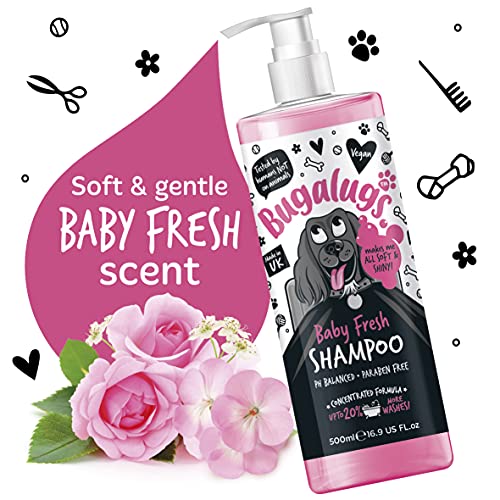 Bugalugs Baby Fresh Hunde-Shampoo, Hundepflege Shampoo-Produkte für schlehct riechende Hunde mit Babypuderduft, bestes Welpen-Shampoo, Baby Fresh, Shampoo Conditioner, veganes Haustier-Shampoo