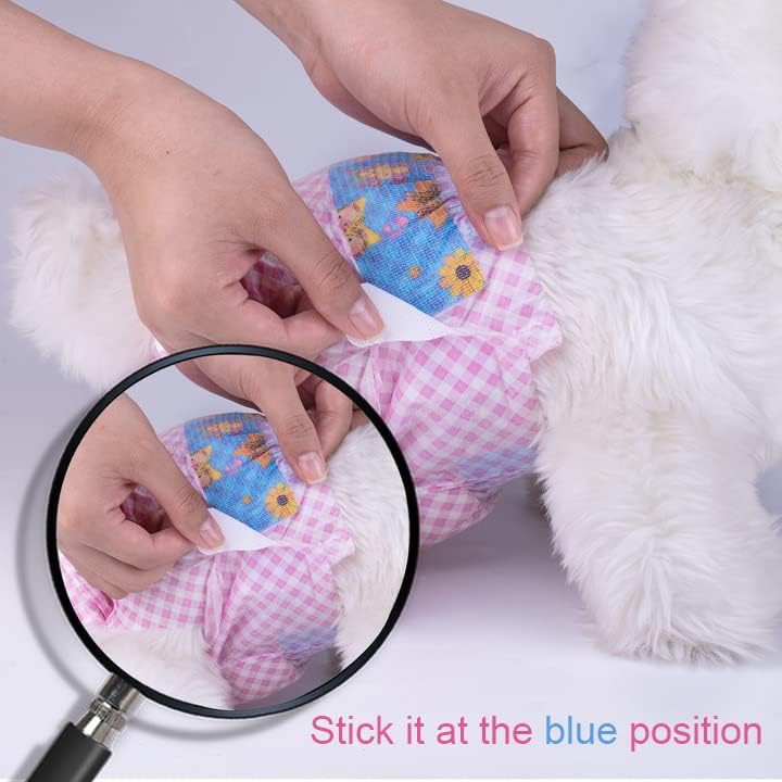 Flying Paws Dog Nappies Female, M-10 Super Absorbent Disposable Diapers with Wetness Indicator - Image 3