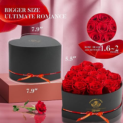 16-Piece Preserved Rose Birthday Gifts for Women, Eternal Rose Preserved Flowers for Delivery Prime Mothers' Day, Valentine's Day, Christmas, Birthday - Red Roses - Image 4