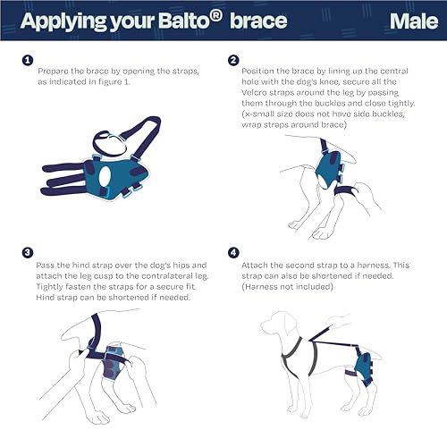 Image of Balto Jump Dog Knee Brace - Orthopedic ACL /CCL Support for Dogs - Adjustable Leg Stabilizer for Joint Pain, Injury Recovery & Arthritis - Vet-Approved Canine Knee Support (Small, Left Leg)