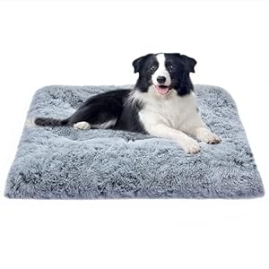 DEBANG HOME Coussin, Lit pour chien de taille moyenne, lit pour chiot, doux et confortable, matelas de cage en peluche lavable, Gris（76X52CM）