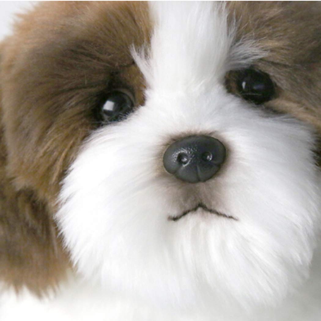 Amazon.co.jp: テレオンレイ リアルぬいぐるみ シーズー 犬 リアル