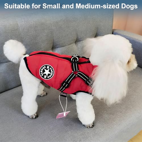 GREATRICH Manteau Chien avec Harnais, Imperméable Gilet Costume Vetement Chien, Vêtements Veste pour Chien, Manteau pour Chiens avec Lignes Réfléchissantes, pour Petit Chiens 5-7kg Automne et Hiver – Image 4