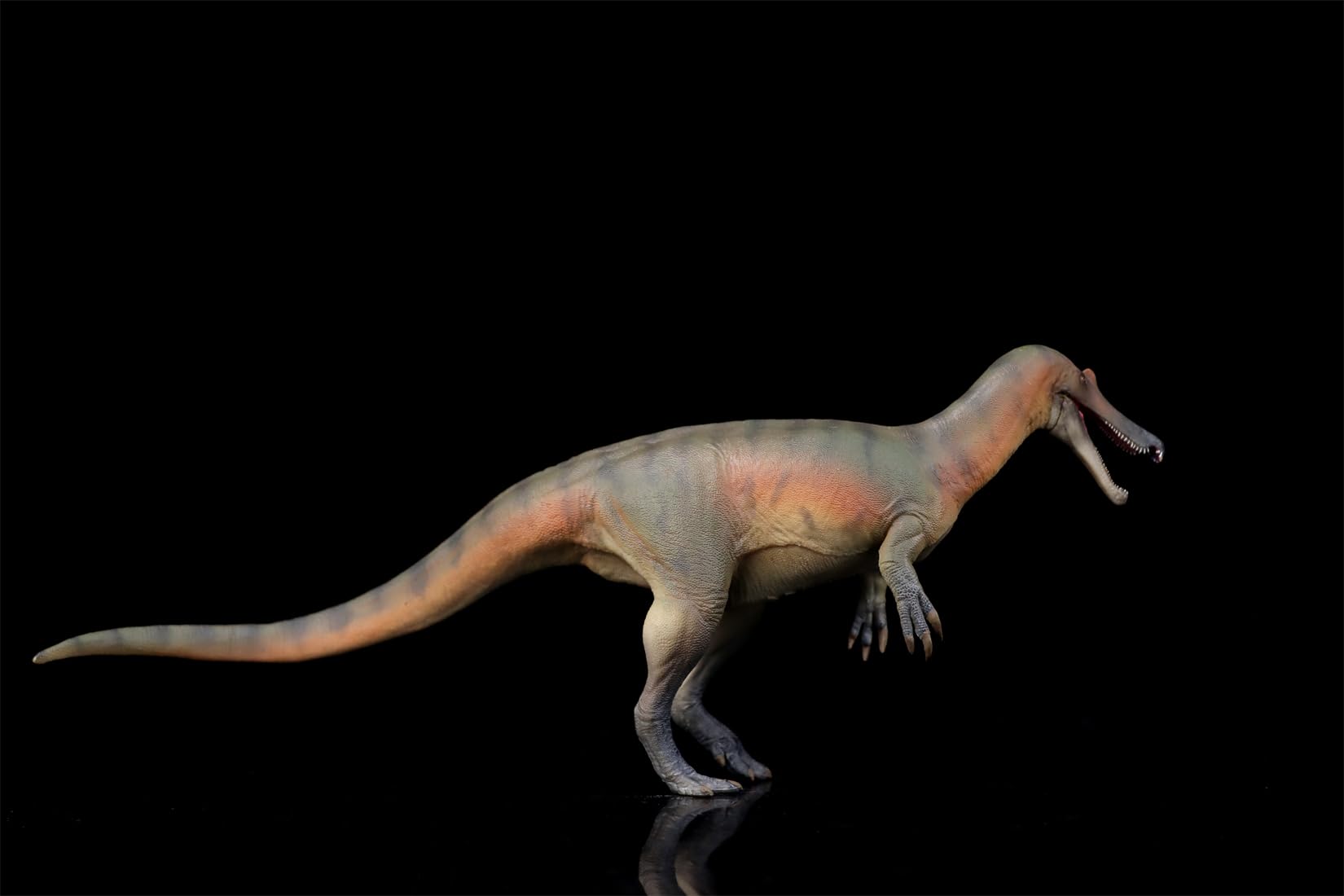 AMITD 84 Baryonyx Maxim Model SpDinosauridae Prehistoric Dinosaur Collector Animal Decor Gift