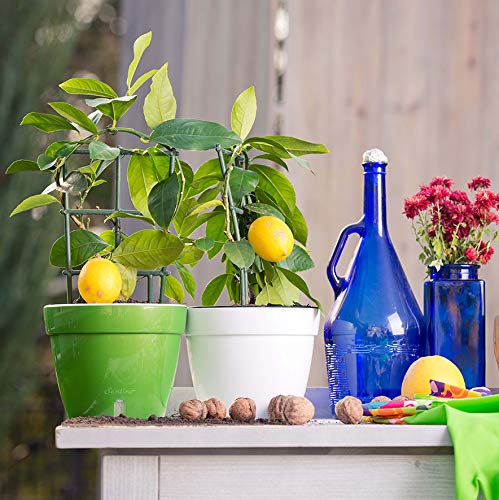 Decopots - 10.6 Inch Self Watering Planter - Modern Flower Pot With Water Level Indicator For All House Plants, Flowers, Herbs - Height 8.3 Inches (Diameter 10.6", Black - Gold/Black) #TOP3