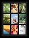 ArtToFrames Collage Photo Frame Single Mat with 9 - 5x7 Openings with Satin Black Frame and Black mat.