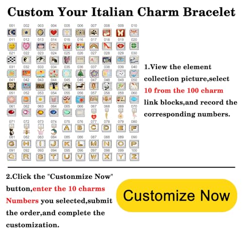 Custom Italian Charm Bracelet Kit 10/15/20 Personalized Charms Silver Adjustable Link Bracelet with Tool DIY Module Jewelry Gifts for Women/Men3