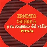 vitoladens 300-w fehler f9  Vitola