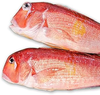 Amazon.co.jp: 魚水島 新潟産 天然 甘鯛 アマダイ（グジ）1,100～1,199