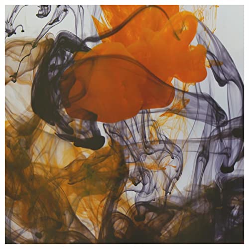 shared territory, Kusa & KING KVNG