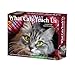 What Cats Teach Us 2026 Box Calendar