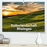 Autor(in): papabaer125 Kulturlandschaft Rheingau (Premium, hochwertiger DIN A2 Wandkalender 2021, Kunstdruck in Hochglanz)