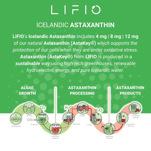 Lifio Icelandic Astaxanthin 12 Mg And Immunity Rev+, Immune System Support Bundle #TOP4