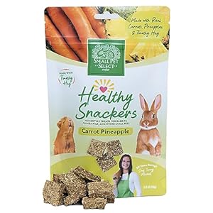 Small Pet Select – Healthy Snackers – Carrot/Pineapple