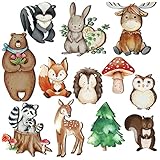 Package Content: the package includes 12 pieces of woodland animal cutouts, including bears, deer, foxes, owls, rabbits, raccoons, skunks and squirrels, moose, pine trees, hedgehogs, mushrooms and more, sufficient for home decorations Cute Design: ou...