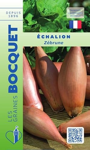 Sachet de graines de Echalion Zébrune - type cuisse de poulet - 1 g - légume racine - LES GRAINES BOCQUET