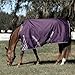 Equinavia Norse 300g Heavy Weight Horse Blanket Waterproof All Weather Winter Turnout - Grape Purple - 75 in