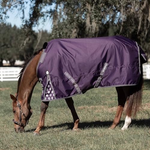 Image of Equinavia Norse Lightweight 100g Fill Horse Rain Blanket | Waterproof Turnout Sheet - Black - 66 in - Grape Purple - 69 in