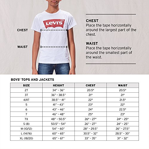 Levi's Little Boys' Classic Batwing T-Shirt, Allure, 7