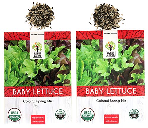 Baby Leaf Lettuce Seeds (Colorful Spring Mix) - 2 Seed Packets! - Over