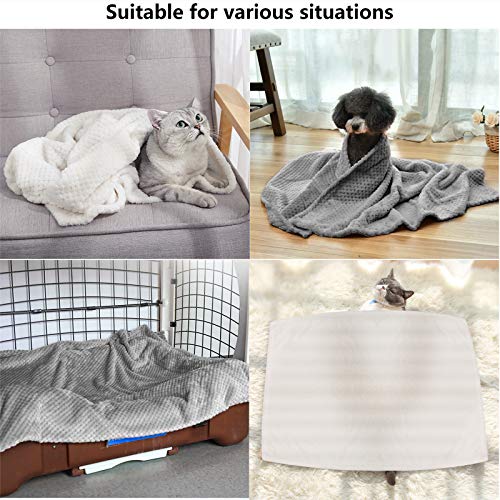 SLSON 2 Pack Dog Blanket Washable, Warm Soft Pet Throw Blanke for Bed Covers, Fuzzy Cat Blankets for Couch, Sofa, Car, Travel, 70x100cm, Grey and White - Image 6