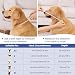 HAPPY HACHI Halskrause, Atmungsaktive Comfy Cone, Verstellbar Genesungshalsband für Hunde, Vorbeugung von Biss- und Leckwunden Weich Schutzkragen Nach Operationen (Blau, M)