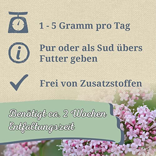 Krauterie Baldrian Hund, Einzelfuttermittel für Hunde (100 g), Baldrianwurzel Pulver in Spitzenqualität