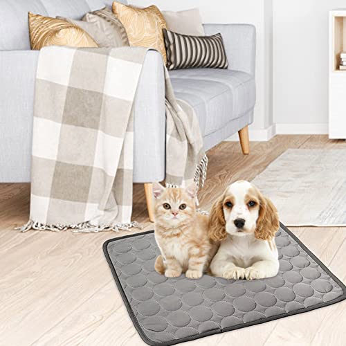 Kühlmatte für Hunde, Haustier-Kühlmatten, Sommer-Eiskissen, leicht, atmungsaktiv und faltbar, für Kiste, Zwinger, Katzenbett, Sofa, kaufeste wiederverwendbare Hundematten (1 Packung)