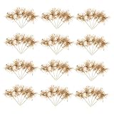 Photo Gallery upkoch 100 cake topper per cupcake e dolci decorazioni compleanno e natale inserti tinsel brillanti per torte e dessert facili da usare e riutilizzabili Photo Gallery upkoch 100 cake topper per cupcake e dolci decorazioni compleanno e natale inserti tinsel brillanti per torte e dessert facili da usare e riutilizzabili