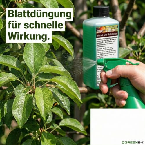 GREEN24 Obstbaum Dünger - Spezialdünger für Obst & Beerensträucher Apfelbaum Birnenbaum Kirschbaum Pflaumenbaum Himbeeren Brombeeren Johannisbeeren NPK 250ml Konzentrat