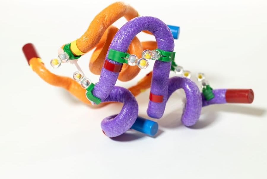 Insulin MRNA to Protein Kit© 1-Group Set