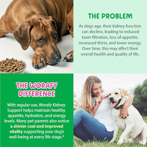 Dog Kidney Support Drops, 100% natürliche Harnwegsbehandlung für Hunde 60ml, unterstützt die Nierenfunktion und HWI Pflege Hund, Stärkung des Immunsystems