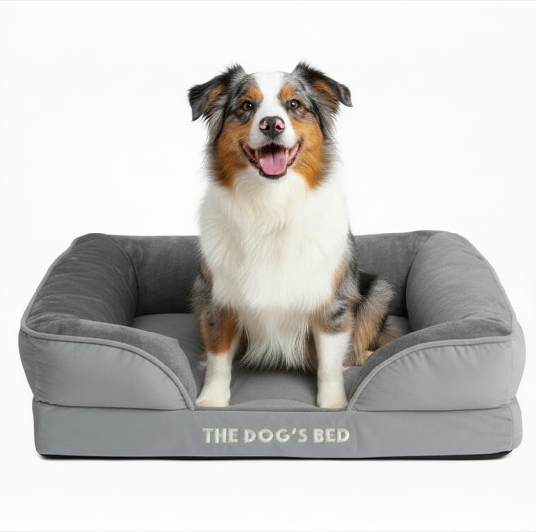 The Dog’s Bed Orthopaedic Dog Bed with Bolsters, Removable Cover, CertiPUR-Certified Foam, Plush Fabric, Silver Grey, Large