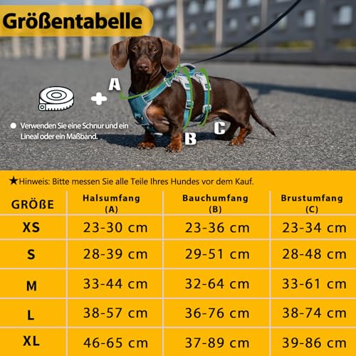 Huntboo Sicherheitsgeschirr Hund Ausbruchsicher, Panikgeschirr für Hunde, Reflektierendes Geschirr mit Gepolstertem Griff, Verstellbare Weste für Kleine Hunde, die Spazieren Gehen (Blau,XS)